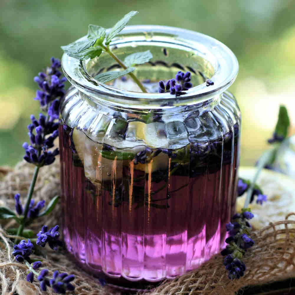 Black Amber & Lavender Fragrance Oil